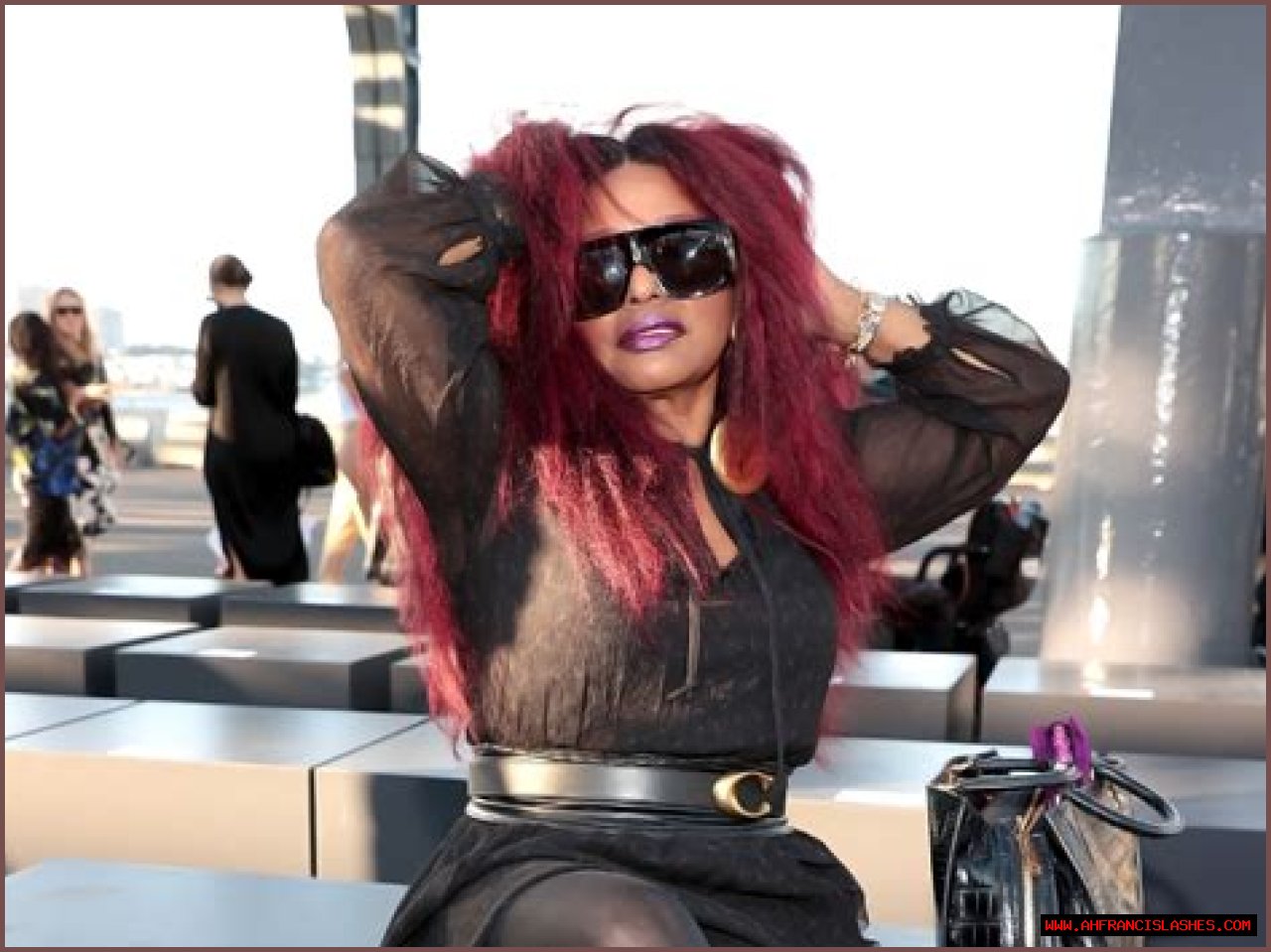 Chaka Khan's Drunken Performance: Behind The Scenes Revelations